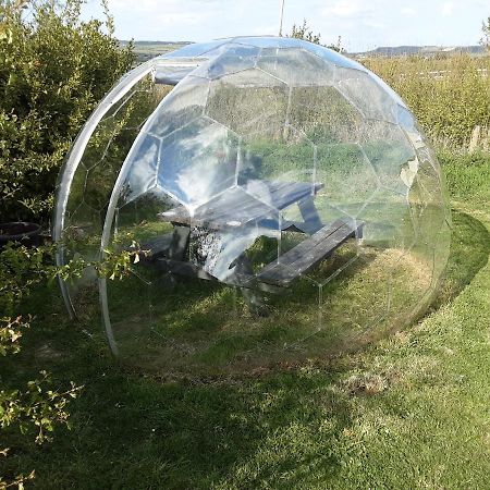 The Rainbow Pod Villa Milltown Malbay Buitenkant foto